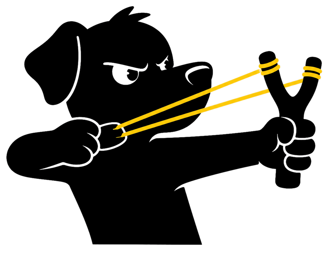 Slingshot SEO